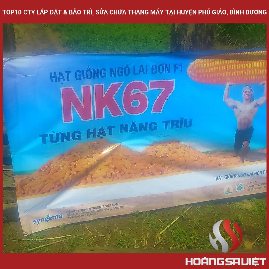 Top10 Cty Lắp Đặt & Bảo Trì, Sửa Chữa Thang Máy Tại Huyện Phú Giáo, Bình Dương Top10 Cty Lắp Đặt & Bảo Trì, Sửa Chữa Thang Máy Tại Huyện Phú Giáo, Bình Dương