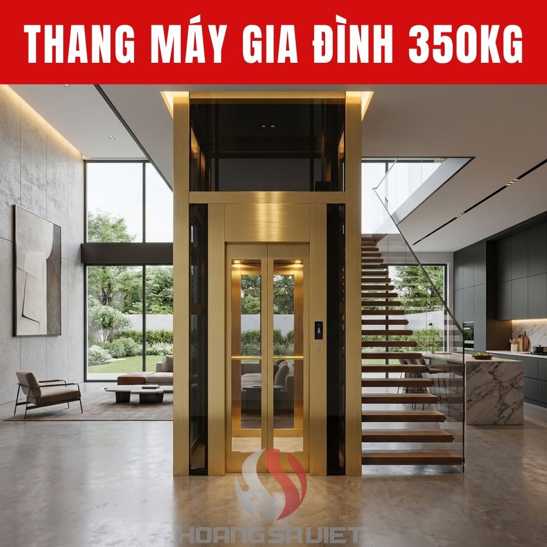 Thang Máy Gia Đình 350Kg Thang Máy Gia Đình 350Kg