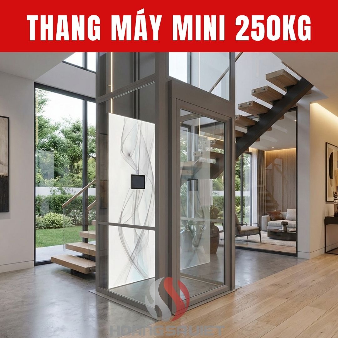 Thang Máy Mini 250Kg Cửa Tự Động Thang Máy Mini 250Kg Cửa Tự Động