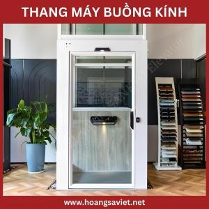 Thang Máy Lồng Kính Gia Đình 250Kg - 350Kg