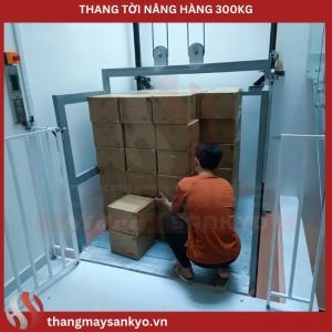 Thang Tời Nâng Hàng 300Kg