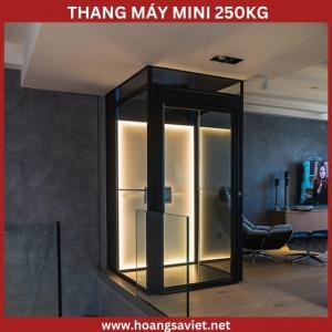 Thang Máy Trục Vít Mini