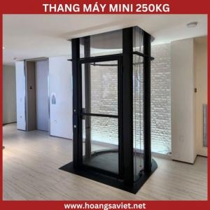 Thang Máy Trục Vít Mini