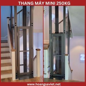 Thang Máy Trục Vít Mini