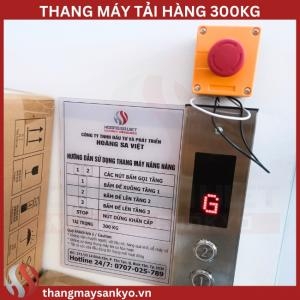 Thang Tời Nâng Hàng 300Kg