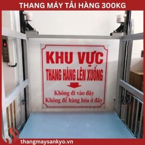 Thang Tời Nâng Hàng 300Kg