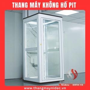 Thang Máy Mini 250Kg Cửa Tự Động