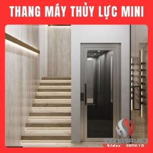 Thang Máy Mini 250Kg Cửa Tự Động