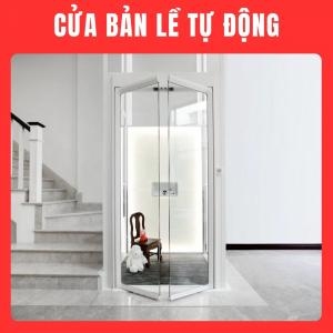 Thang Máy Mini 250Kg Cửa Tự Động