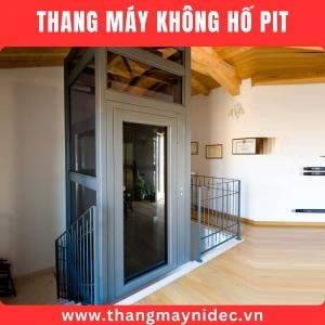 Thang Máy Mini 250Kg Cửa Tự Động
