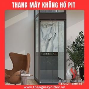 Thang Máy Mini 250Kg Cửa Tự Động