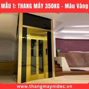 Thang Máy Gia Đình 350Kg