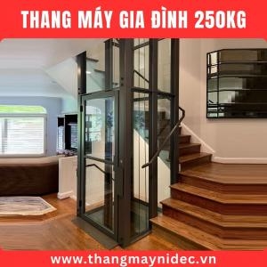 Thang Máy Gia Đình 250Kg