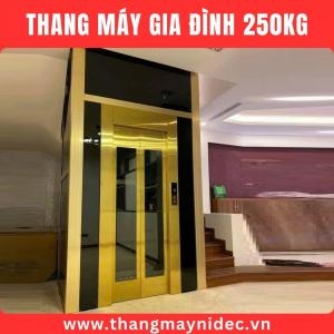 Thang Máy Gia Đình 250Kg